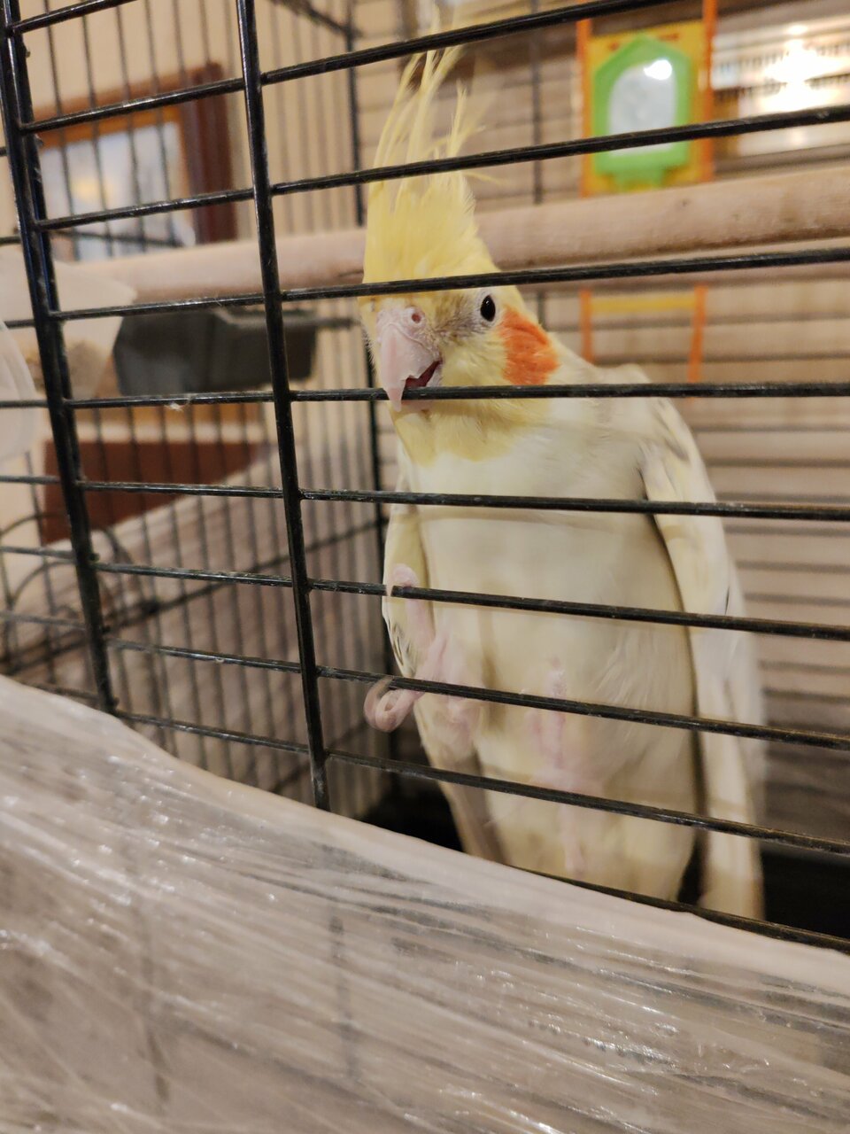 Гостевой дом Дом Романовых Санкт-Петербург-246