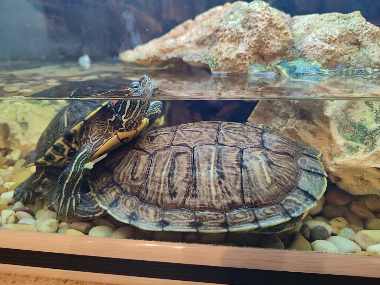 Гостевой дом Дом Романовых Санкт-Петербург-202